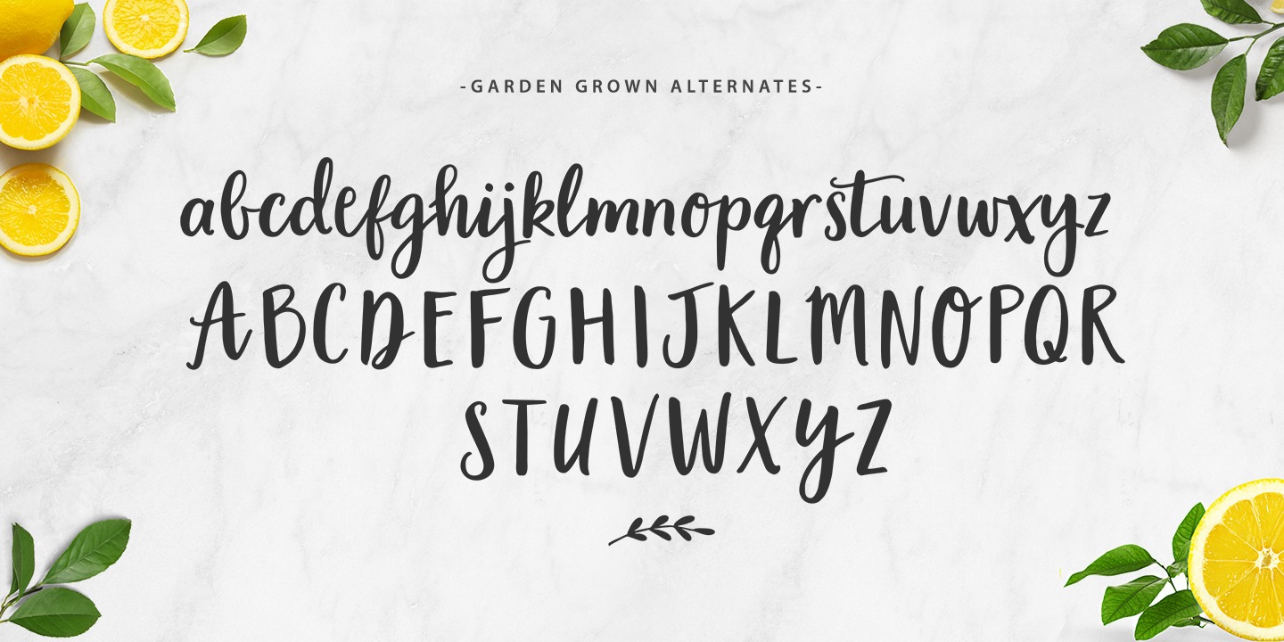 Garden Collection B Font preview